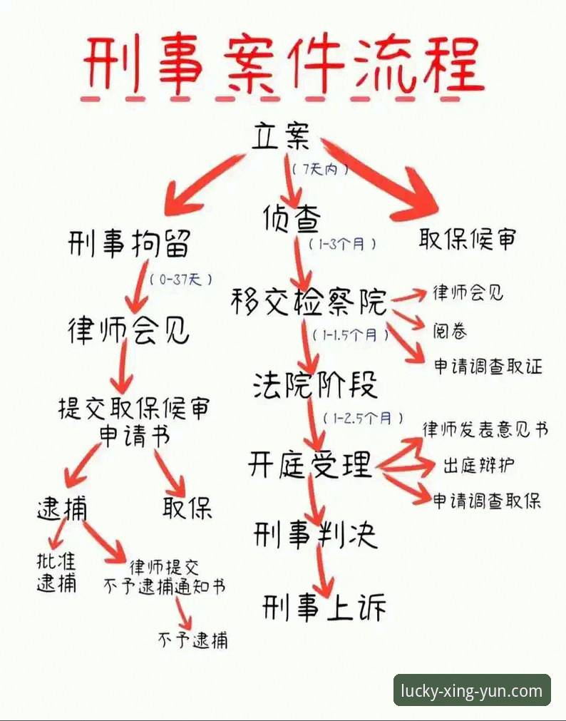 新手必看！杏运体育版本更新实战经验分享，从注册到投注全流程指南